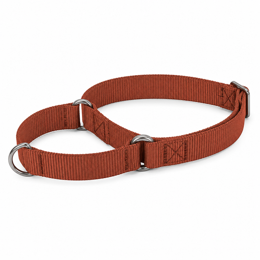 Collier martingale terracotta pour chien avec serrage limité 35-50 cm