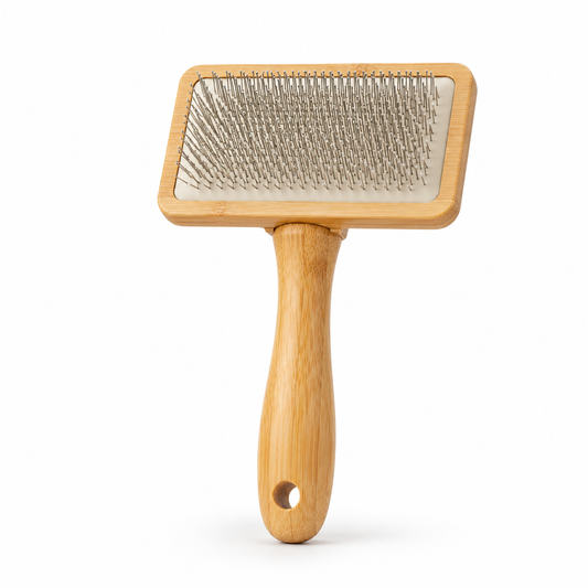 Brosse carde en bambou pour chien et chat avec picots souples taille M